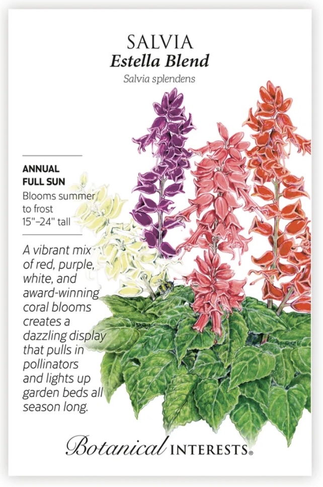 Estella Blend Salvia Seeds