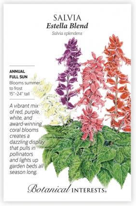 Estella Blend Salvia Seeds