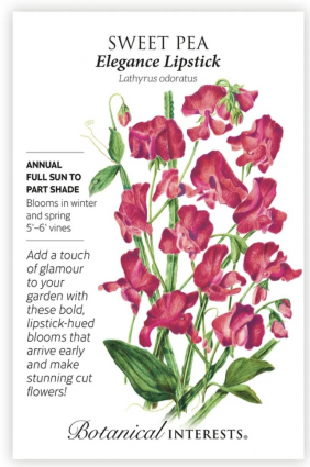 Elegance Lipstick Sweet Pea Seeds
