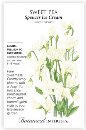 Spencer Ice Cream Sweet Pea Seeds