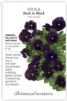 Back to Black Viola Seeds