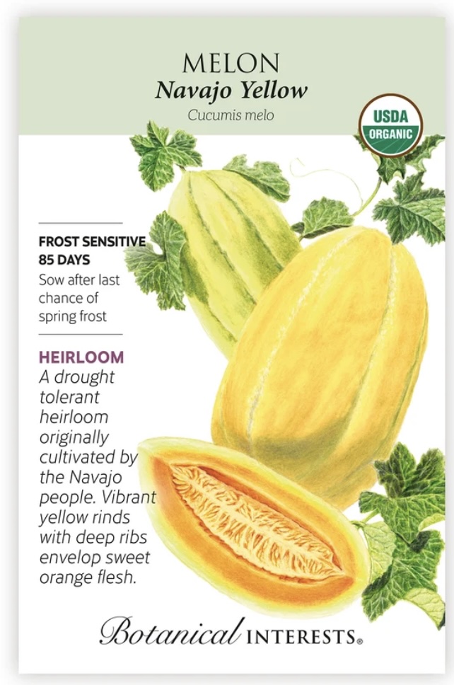 Organic Navajo Yellow Cantaloupe/Muskmelon Melon Seeds