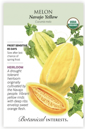 Organic Navajo Yellow Cantaloupe/Muskmelon Melon Seeds