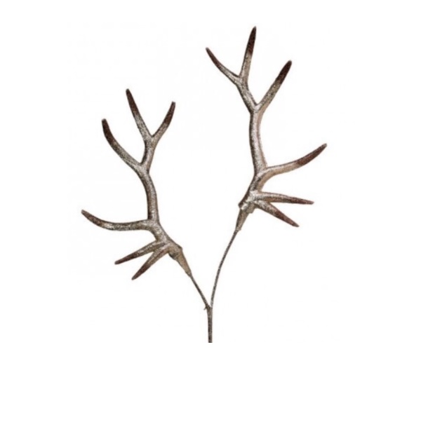 Cream Champagne Highlands Deer Antler Spray 34.5"