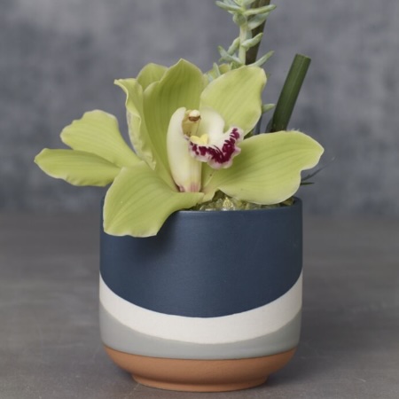 Blue Colorway Pot&nbsp;&nbsp;4" X 3.5"