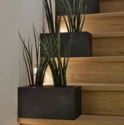 Balcony Black Rectangular Pot 19.6"