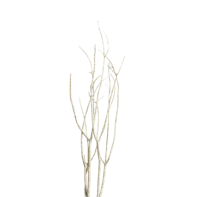 Champagne Glitter Mitsumata Sticks