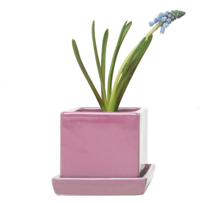 POT, CUBE & SAUCER  PINK 3"