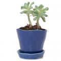 POT, TIKA COBALT  3"