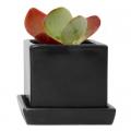 POT, CUBE & SAUCER  BLACK 3"