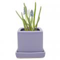 POT, CUBE/SAUCER PERIWINKLE 3"