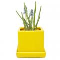 POT, CUBE & SAUCER YELLOW 3"