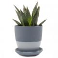 POT, DYAD/SAUCER BLUE GREY 3.25"