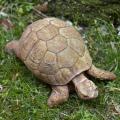 TURTLE 3#