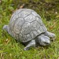 TURTLE, SMALL 2#