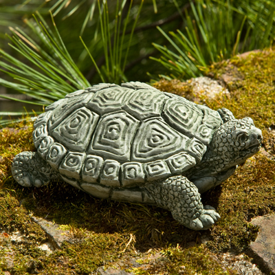 Departments - TURTLE, MY PET 2#