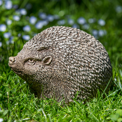 HEDGEHOG, HEDGEROW 6#