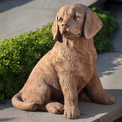 PUPPY, GOLDEN RETRIEVER 40#