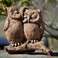 OWLS, HONEYMOON 13#