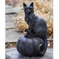 CAT ON PUMPKIN 45#