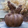 BIRDS ON PUMPKIN 37#