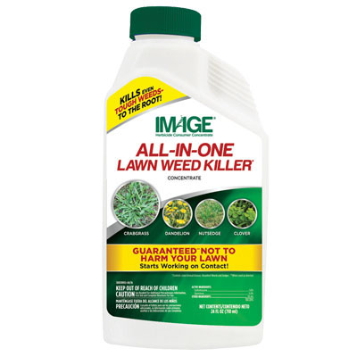 IMAGE® All-In-One Lawn Weed Killer Concentrate 24oz