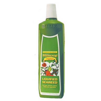 MAXICROP LIQUID SEAWEED  QT