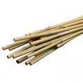 BAMBOO STAKE, NATURAL  3'