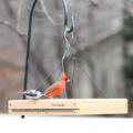 BIRDFEEDER, 3-IN-1 PLATFORM