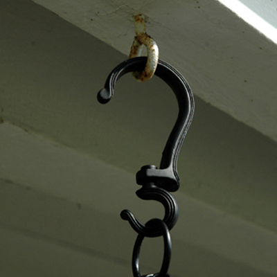 HOOK, SWIVEL PLANT