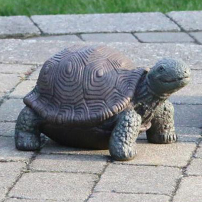 TORTOISE, 8" 36#  DS