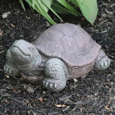 Tortoise (Small)