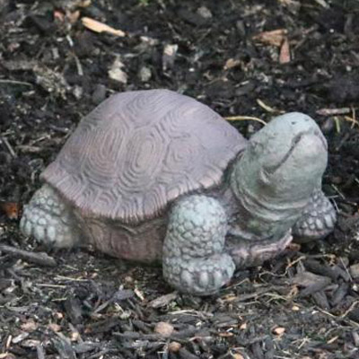 TORTOISE, X-SMALL 4#