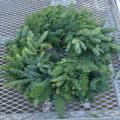 Noble Fir 24" Wreath