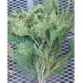 Cedar Incense Greenery Bunch