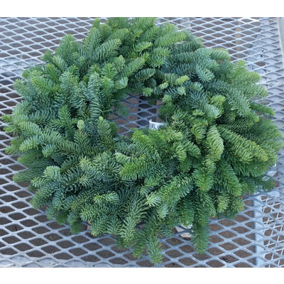 Noble Fir 22" Wreath