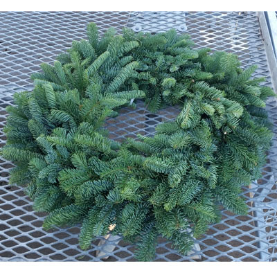 Noble Fir 26" Wreath