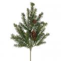 White Spruce Pick - 16"