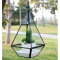 TERRARIUM, TALL RAISED PYRMID BK