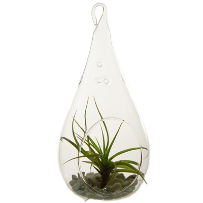 TERRARIUM, HANGING PEAR  7"