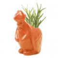 PLANTER, ETHEL TURTLE ORANGE