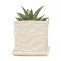 PLANTER, VIRAGO WHITE D