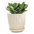 PLANTER, VIRAGO WHITE E