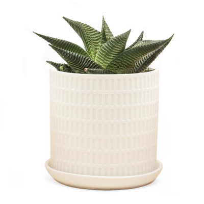 PLANTER, VIRAGO WHITE A