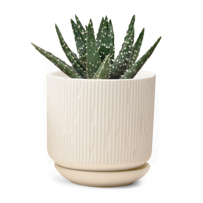 PLANTER, VIRAGO WHITE C