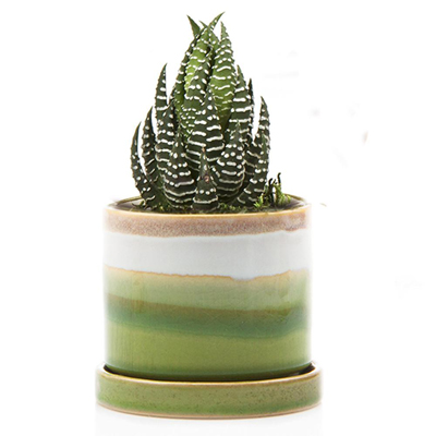 POT, MINUTE/SAUCER GRN LAYERS 3"