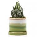 POT, MINUTE/SAUCER GRN LAYERS 3"