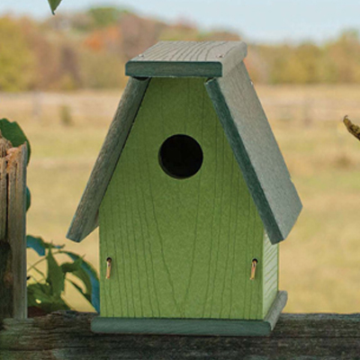 BIRD HOUSE, GOING GREEN BLUEBIRD