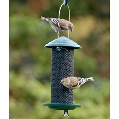 BIRDFEEDER, MINIMAG NYJER SCREEN