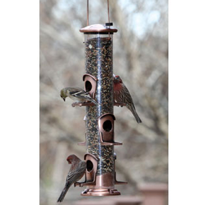 Brushed Copper 6 Port Seed Bird Feeder